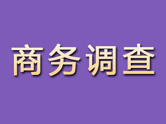 象山商务调查